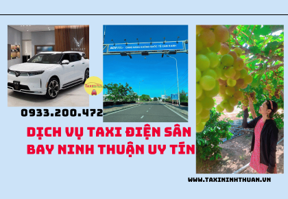Dịch vụ taxi điện sân bay Ninh Thuận uy tín