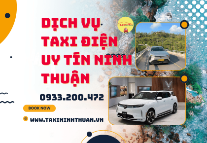 Dịch vụ taxi điện uy tín Ninh Thuận