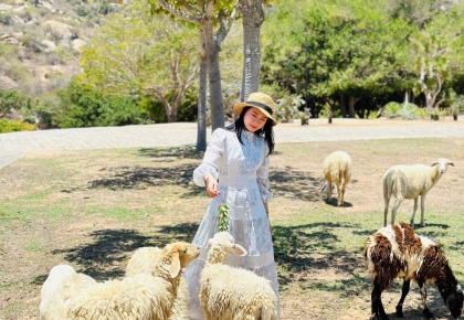 Khu Vui Chơi Ninh Thuận 