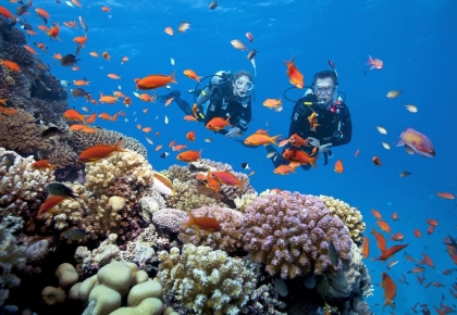 LẶN NGẮM SAN HÔ NINH THUẬN 