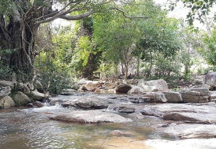 SUỐI LỒ Ồ NINH THUẬN 