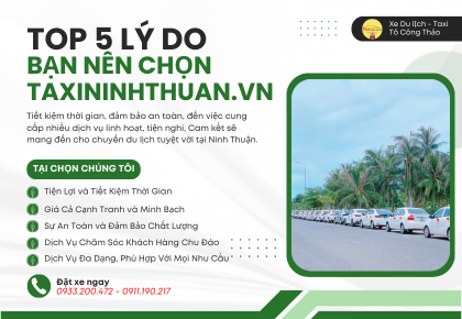 Top 5 Lý Do Bạn Nên Chọn Dịch Vụ Taxi Ninh Thuận Cho Chuyến Du Lịch