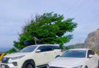 Taxi Bầu Ngứ Xã Phước dinh 