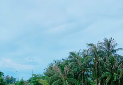 Taxi Sân Bay Cam Ranh Theo Yêu Cầu 