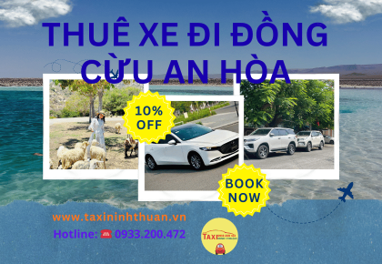 Thuê Xe Đi Đồng Cừu An Hòa