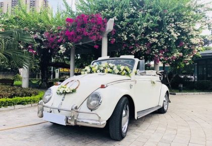 Thuê Xe Hoa Mui Trần Ninh Thuận