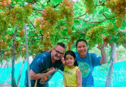 VƯỜN NHO NINH THUẬN 