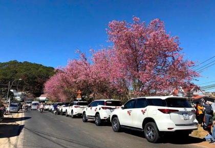 Xe Cưới Đám Cưới 7 Chỗ Ninh Thuận 