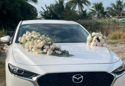 Xe Hoa Giá Rẻ Ninh Thuận