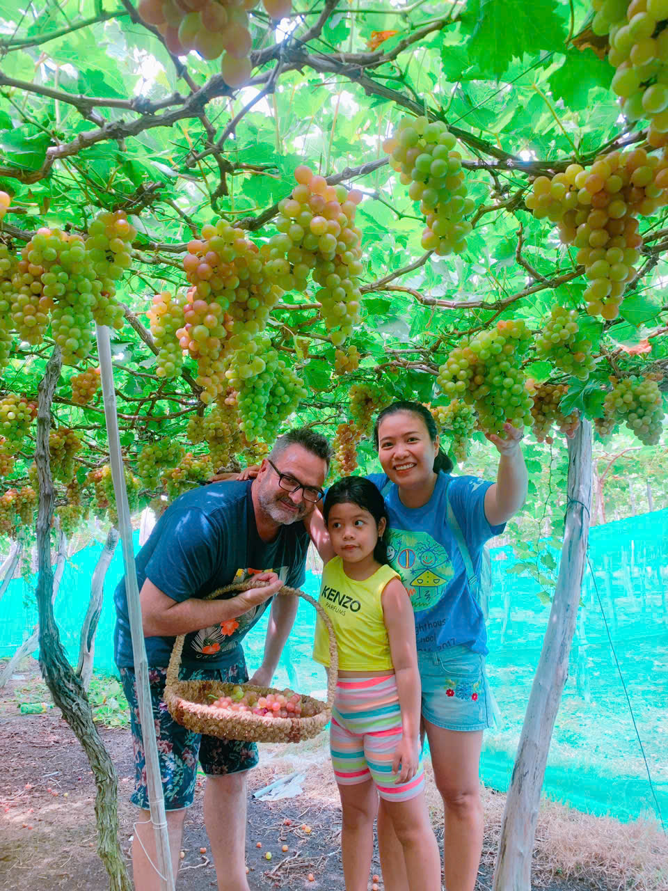 Thuê Xe Nha Trang Đi Vườn Nho Phan Rang