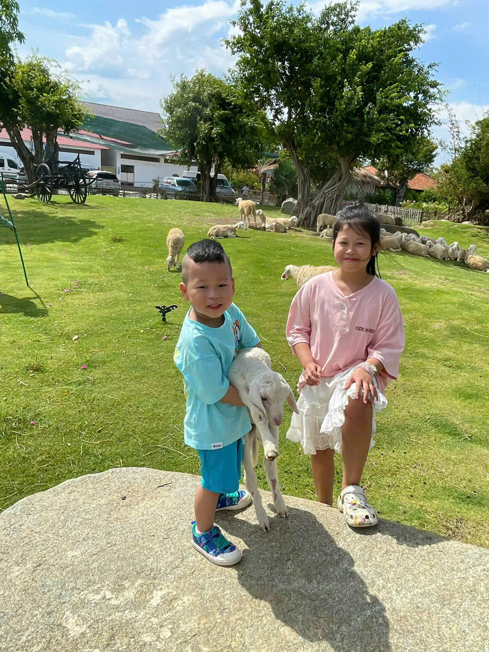 ĐỒNG CỪU AN HÒA NINH THUẬN 