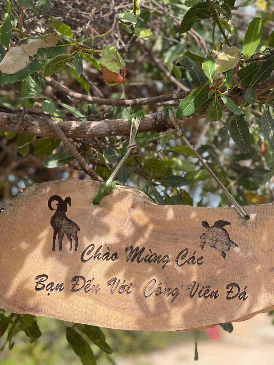 RỪNG QUỐC GIA NÚI CHÚA