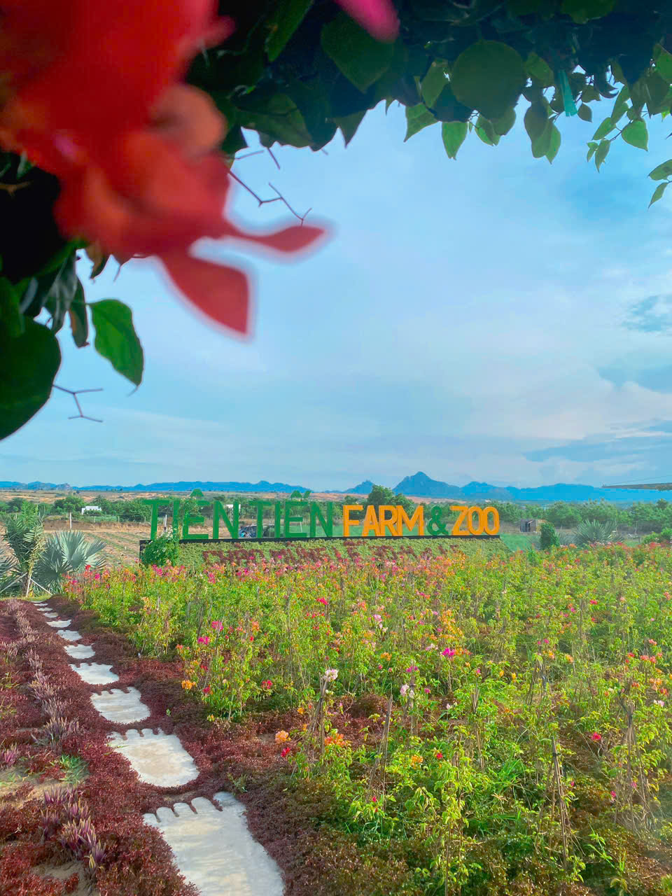 Du Lịch Trẻ Em Ninh Thuận 