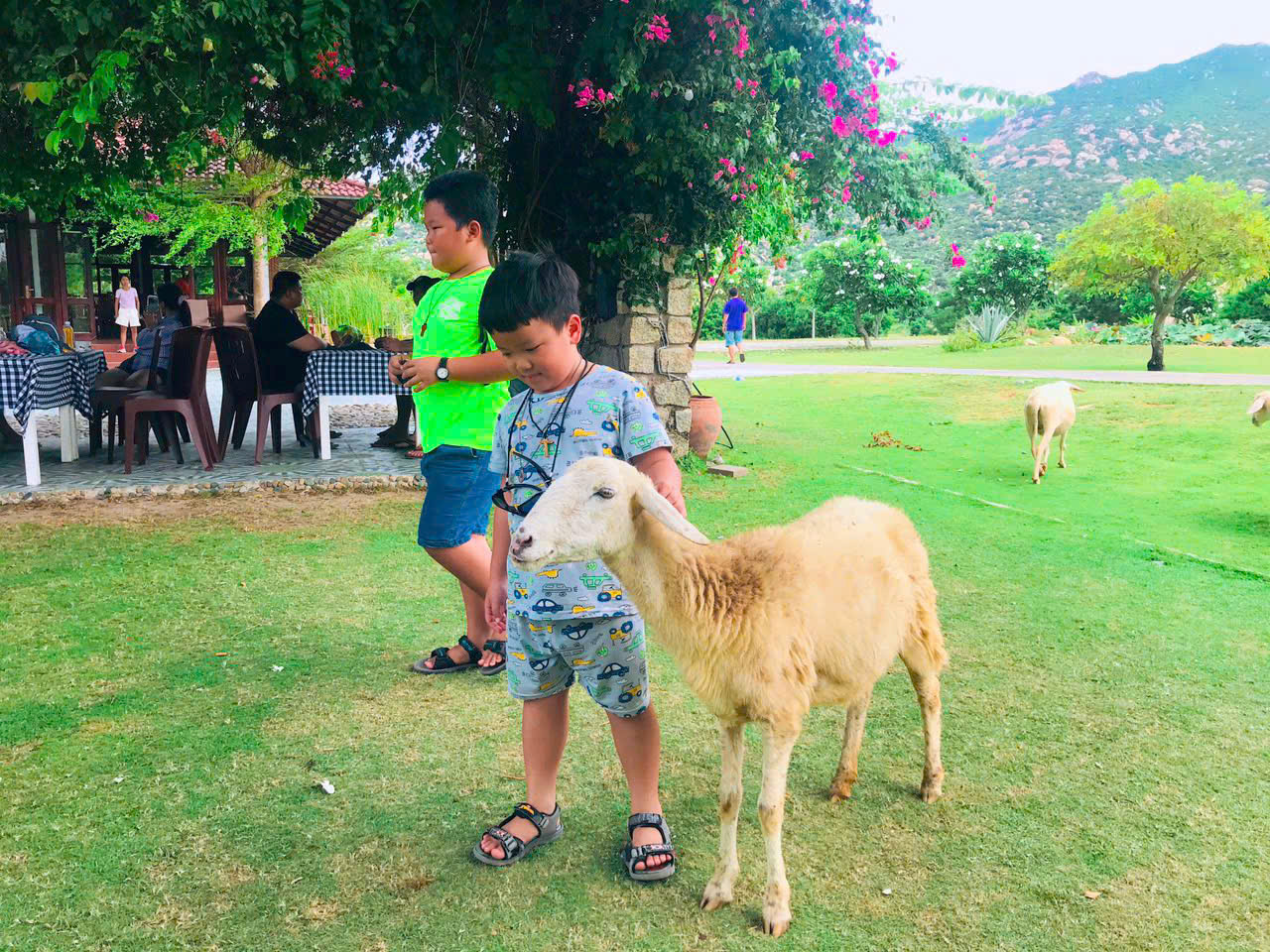 Khu Vui Chơi Ninh Thuận 