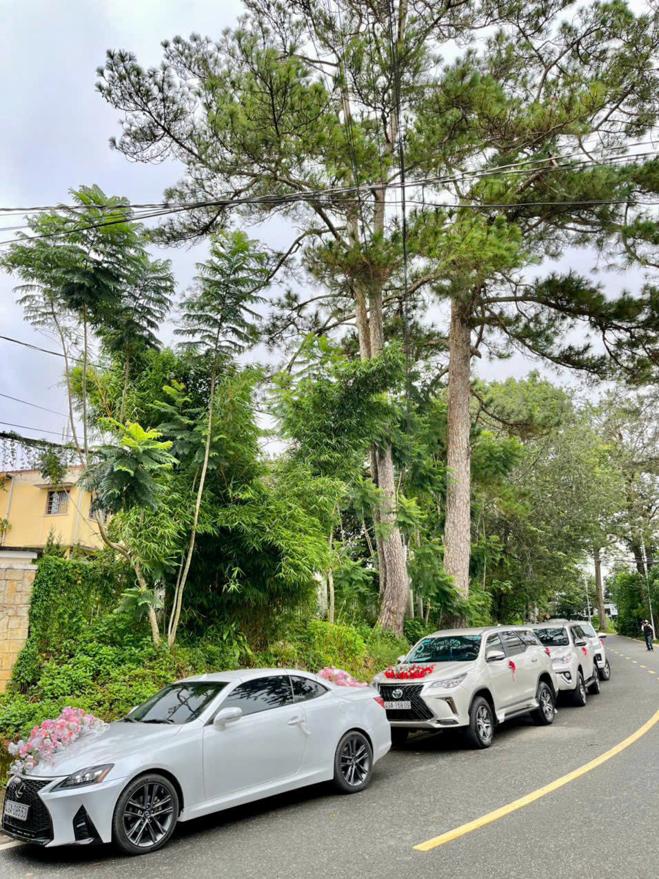 xe hoa sang trọng Ninh Thuận 