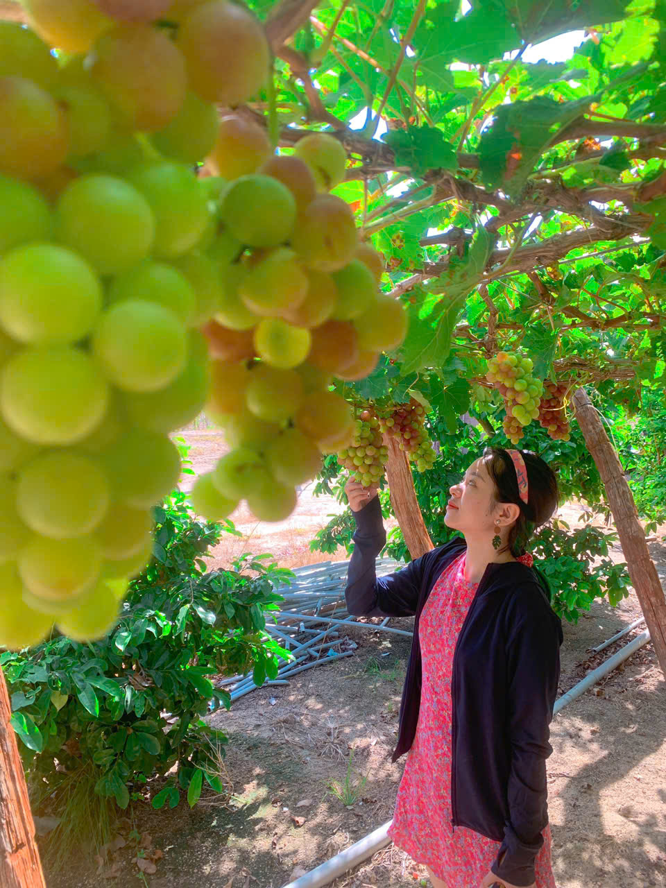 Thuê xe phan rang uy tín nhất