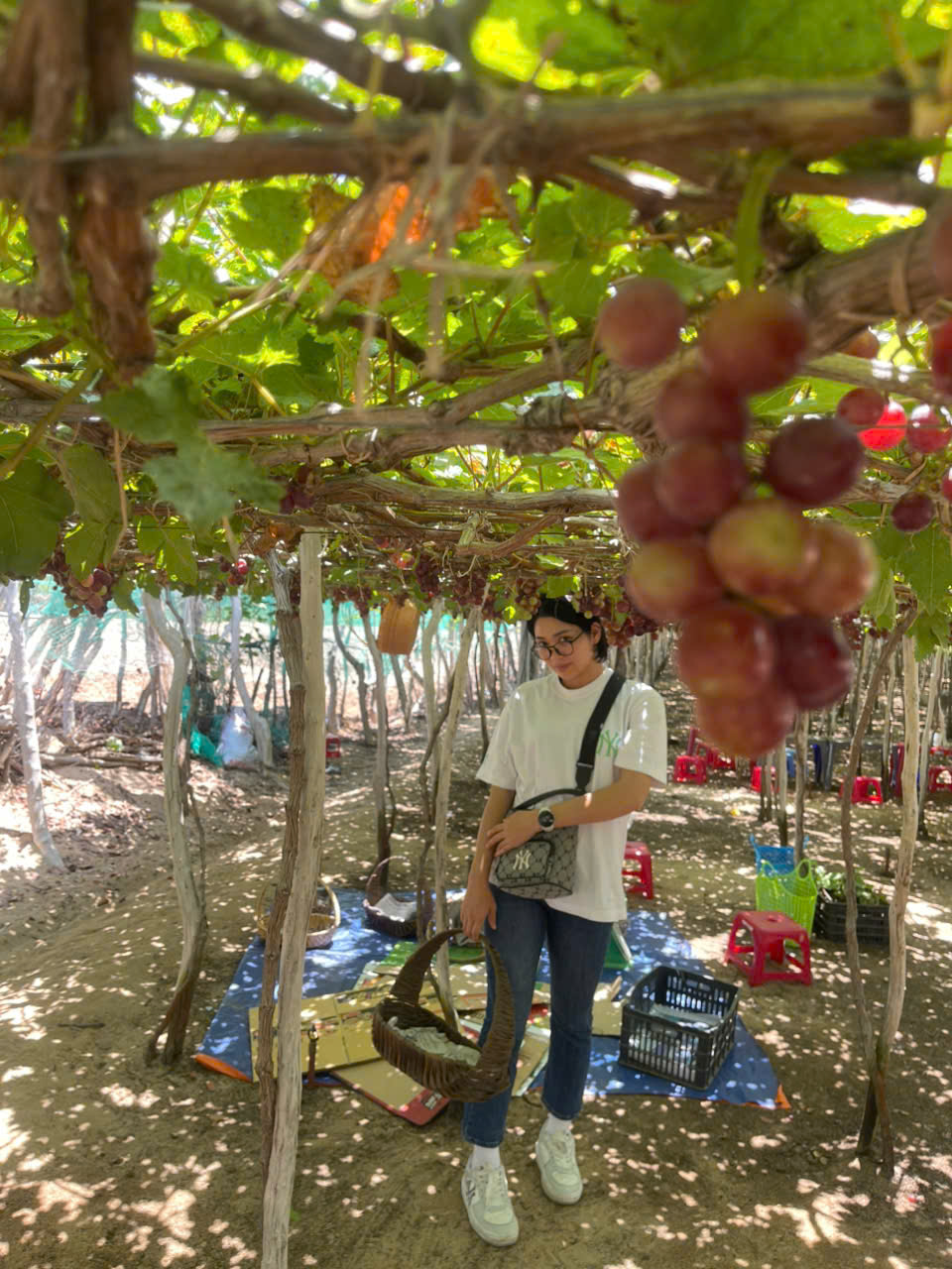 Thuê xe du lịch 4 chỗ phan rang