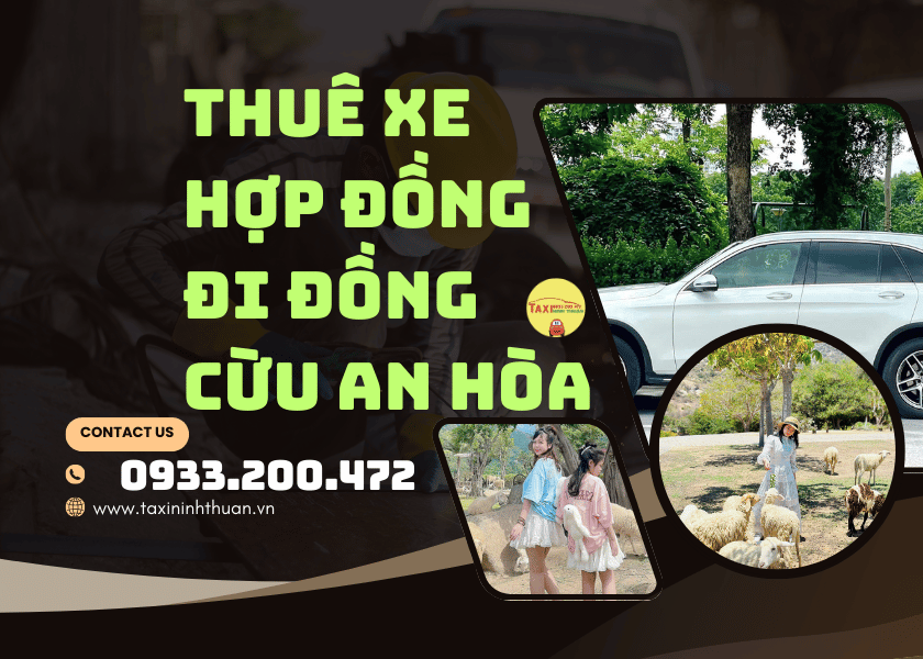 Thuê xe hợp đồng đi đồng cừu an hòa