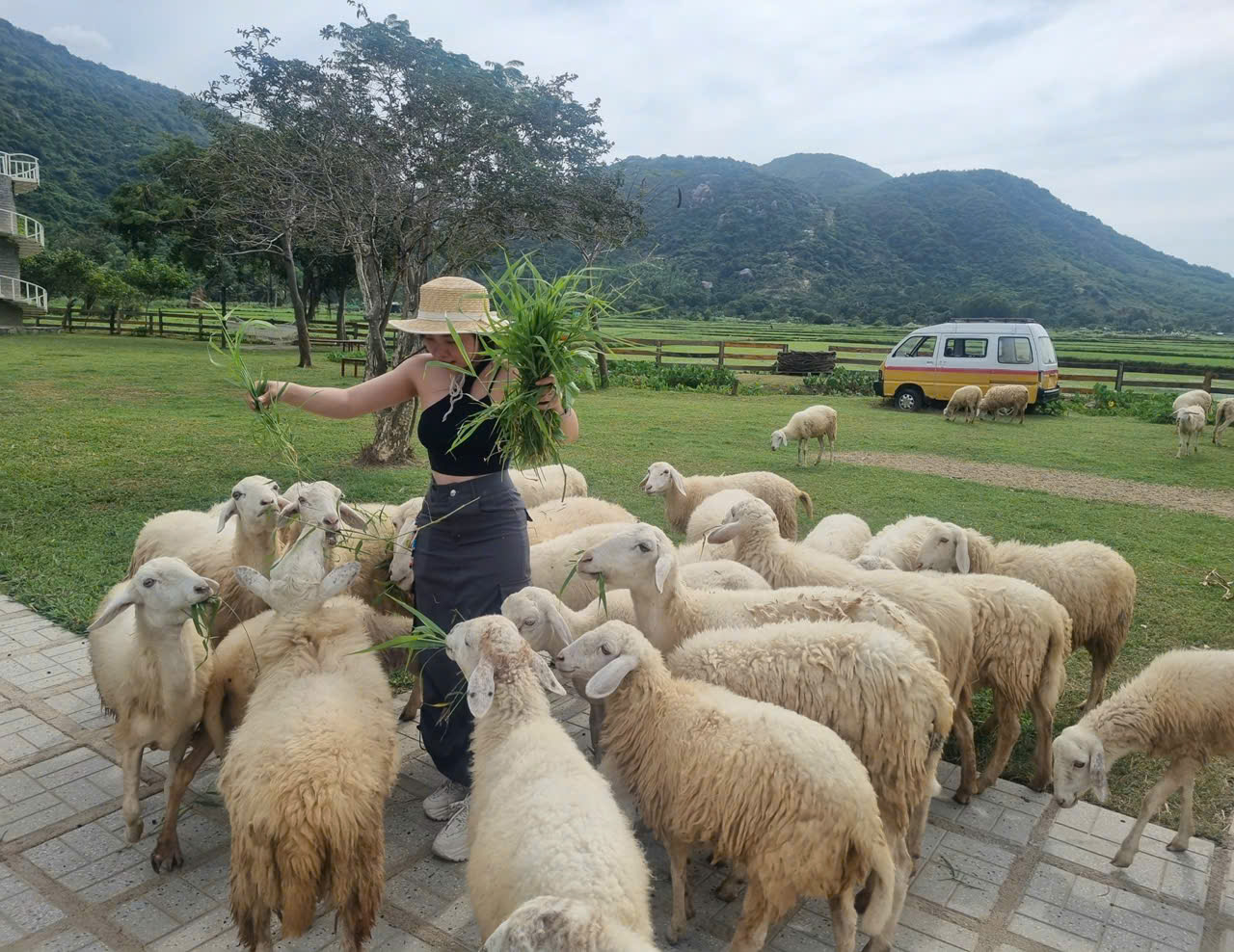 Thuê xe hợp đồng đi tham quan ninh thuận