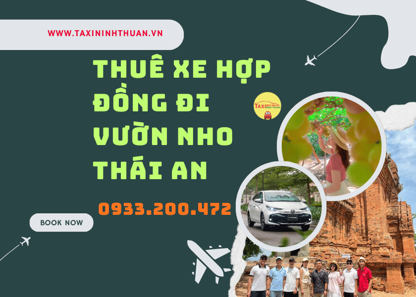 Thuê xe hợp đồng đi vườn nho thái an