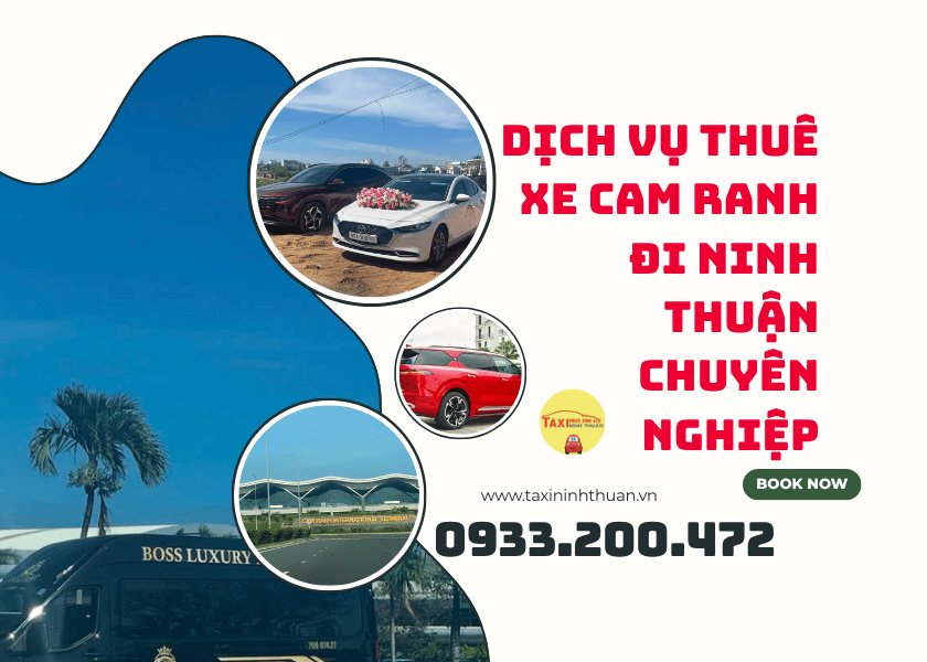 Dịch Vụ Thuê Xe Cam Ranh Đi Ninh Thuận Chuyên Nghiệp