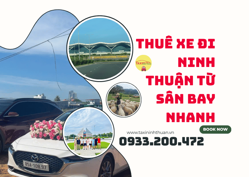 Thuê Xe Đi Ninh Thuận Từ Sân Bay Nhanh