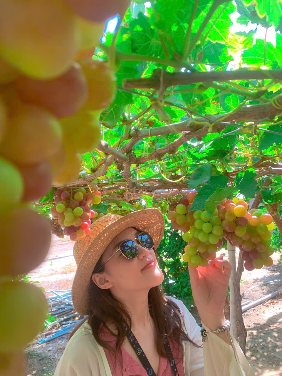 Review Thuê Xe Sân Bay Cam Ranh Đi Vĩnh Hy