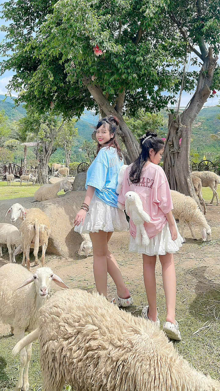 Review Thuê Xe Sân Bay Cam Ranh Đi Vĩnh Hy