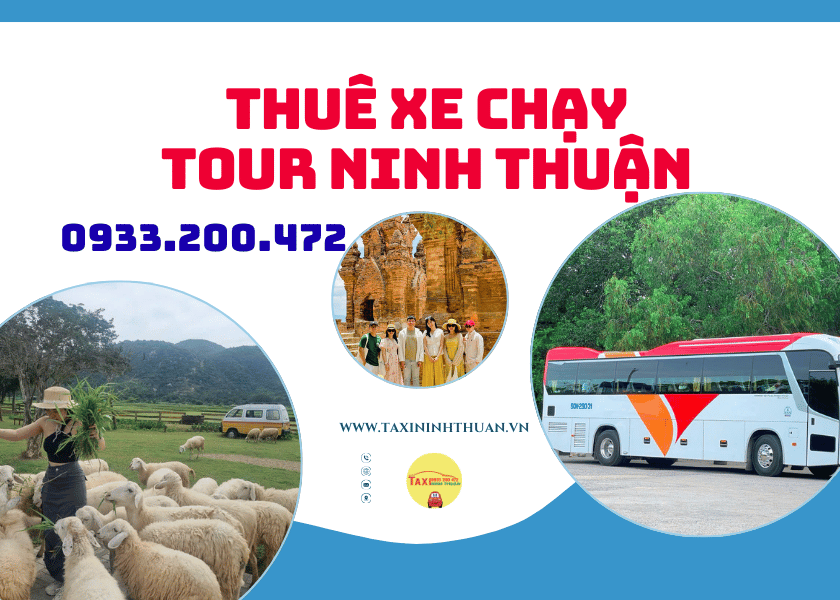 Thuê xe chạy tour ninh thuận