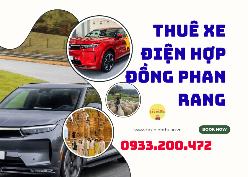 Thuê xe điện hợp đồng phan rang