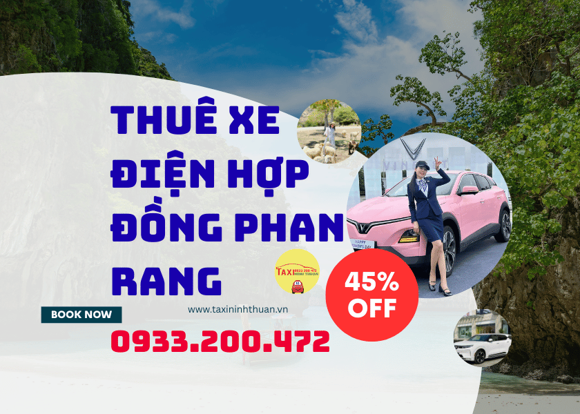Thuê xe điện hợp đồng phan rang