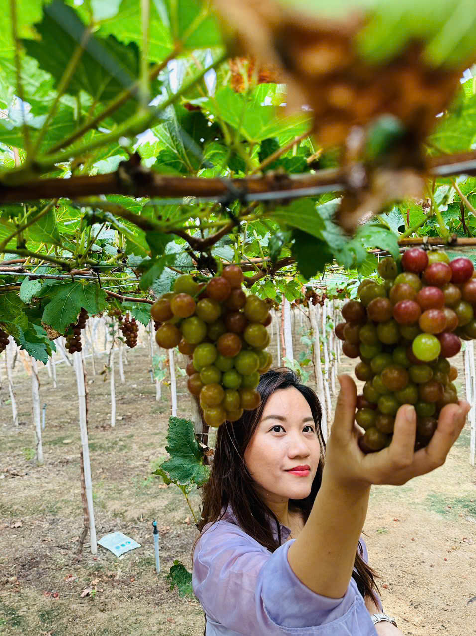 Du lịch Ninh Thuận mùa hè 