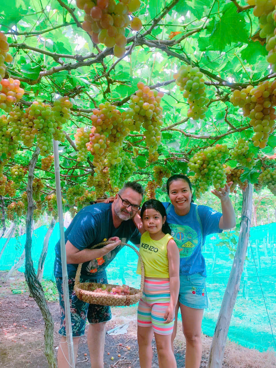 Du lịch Ninh Thuận mùa nho 