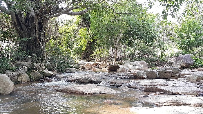 KHÁM PHÁ THIÊN NHIÊN NINH THUẬN 