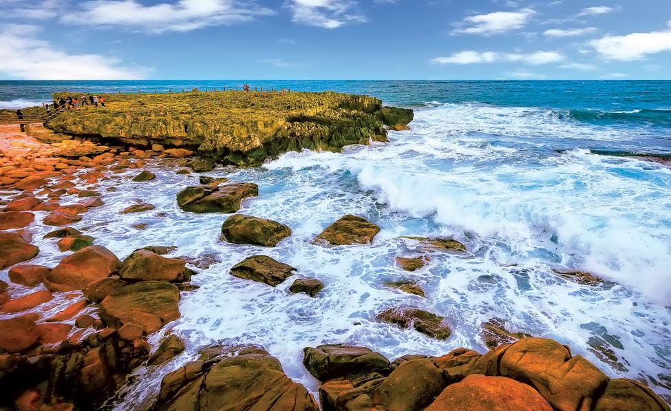 khu bảo tồn thiên nhiên Ninh Thuận 