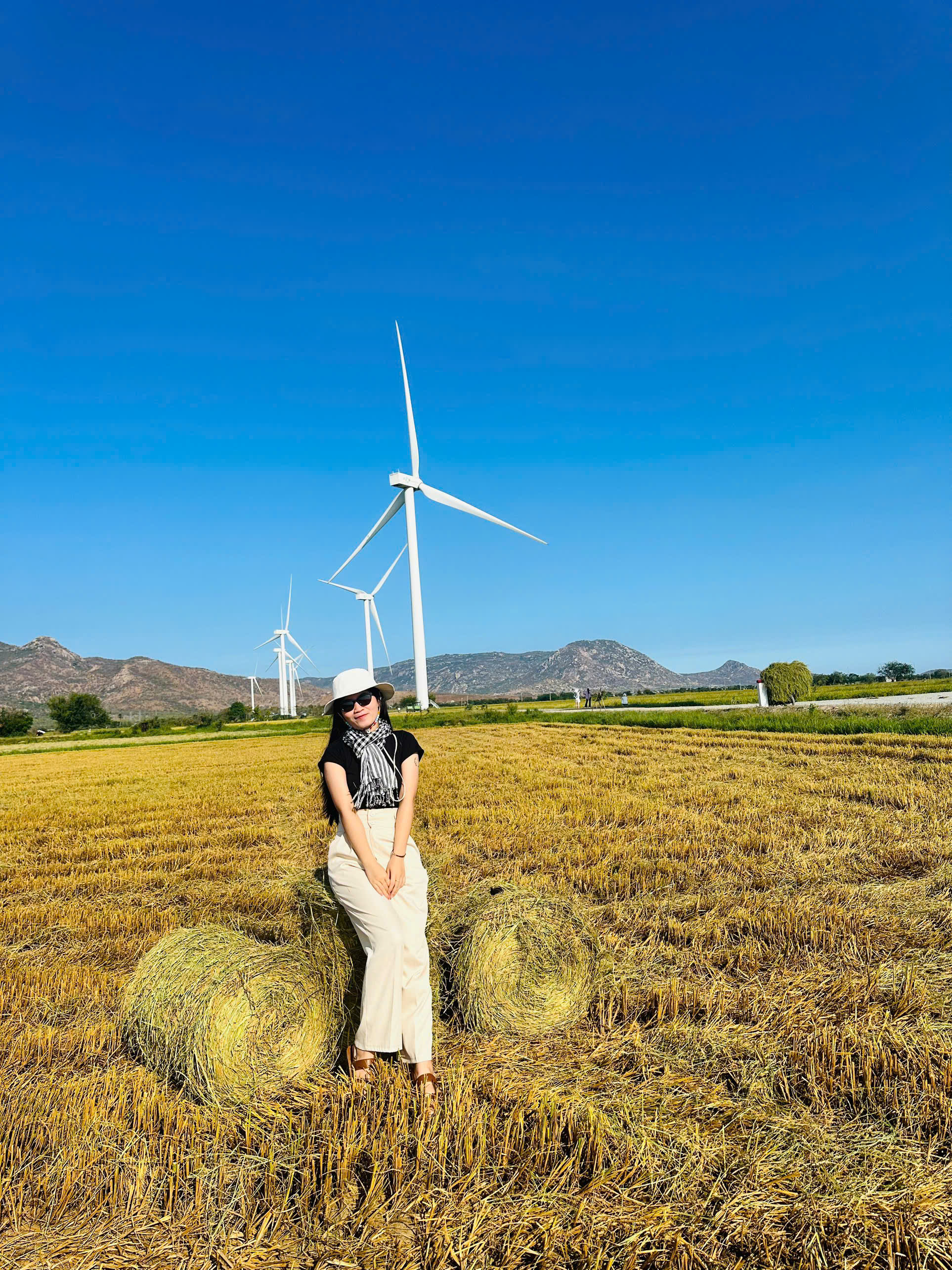 Thuê Xe 16 Chỗ Uy Tín Phan Rang Đi Sân Bay