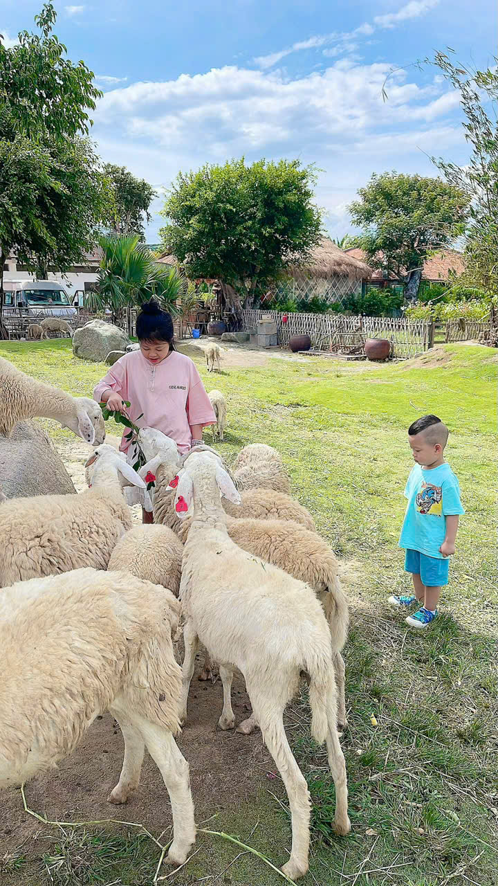 Thuê Xe Khứ Hồi Cam Ranh Đi Vĩnh Hy