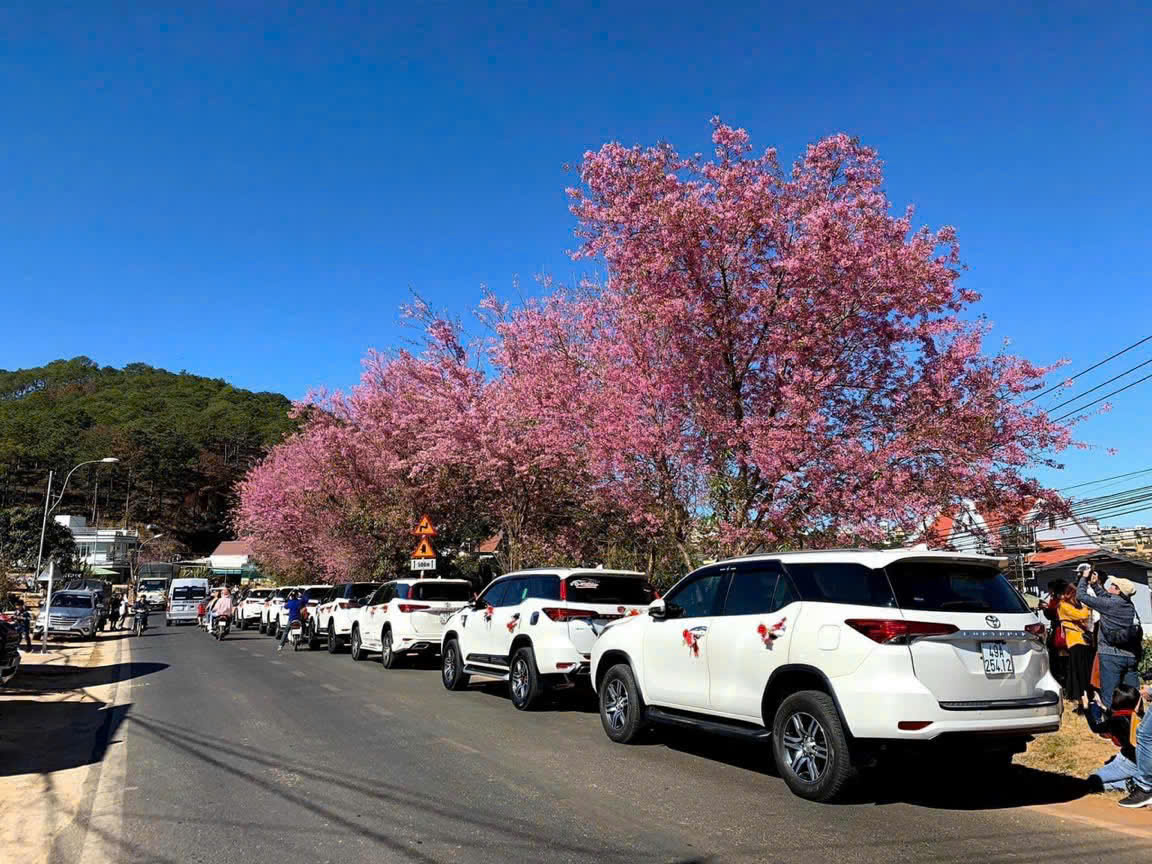 Thuê Xe Hoa 7 Chỗ Ninh Thuận 