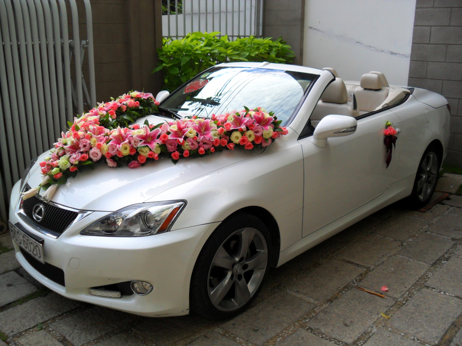 Xe Cưới Hỏi Sang Trọng Ninh Thuận 