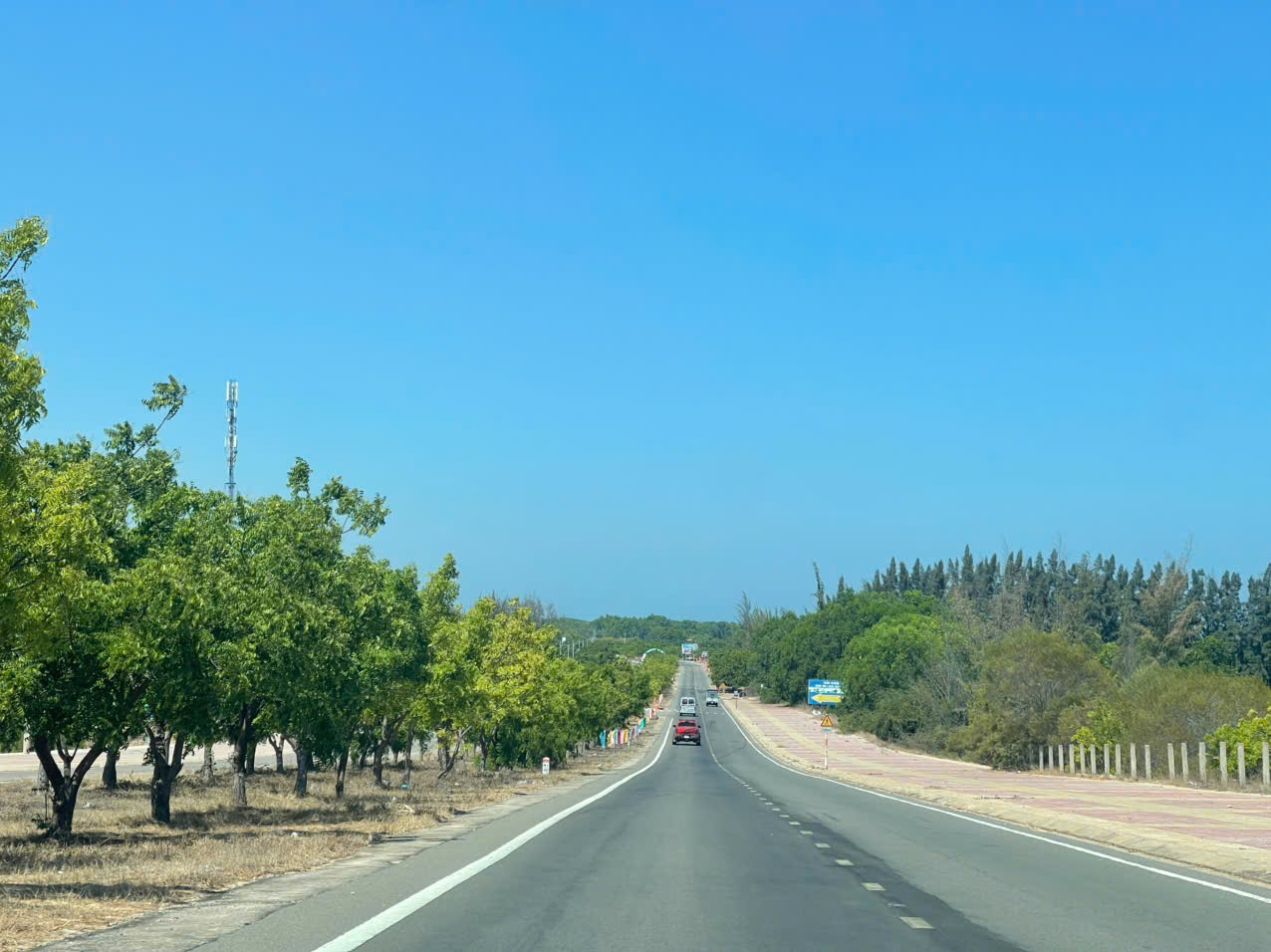 Taxi điện đưa đón sân bay Cam Ranh Ninh Thuận