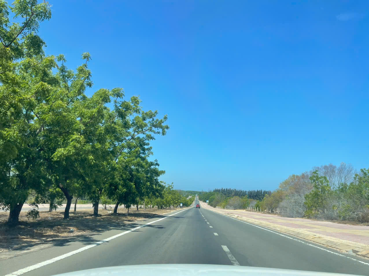 Taxi điện đưa đón Vĩnh Hy Nha Trang