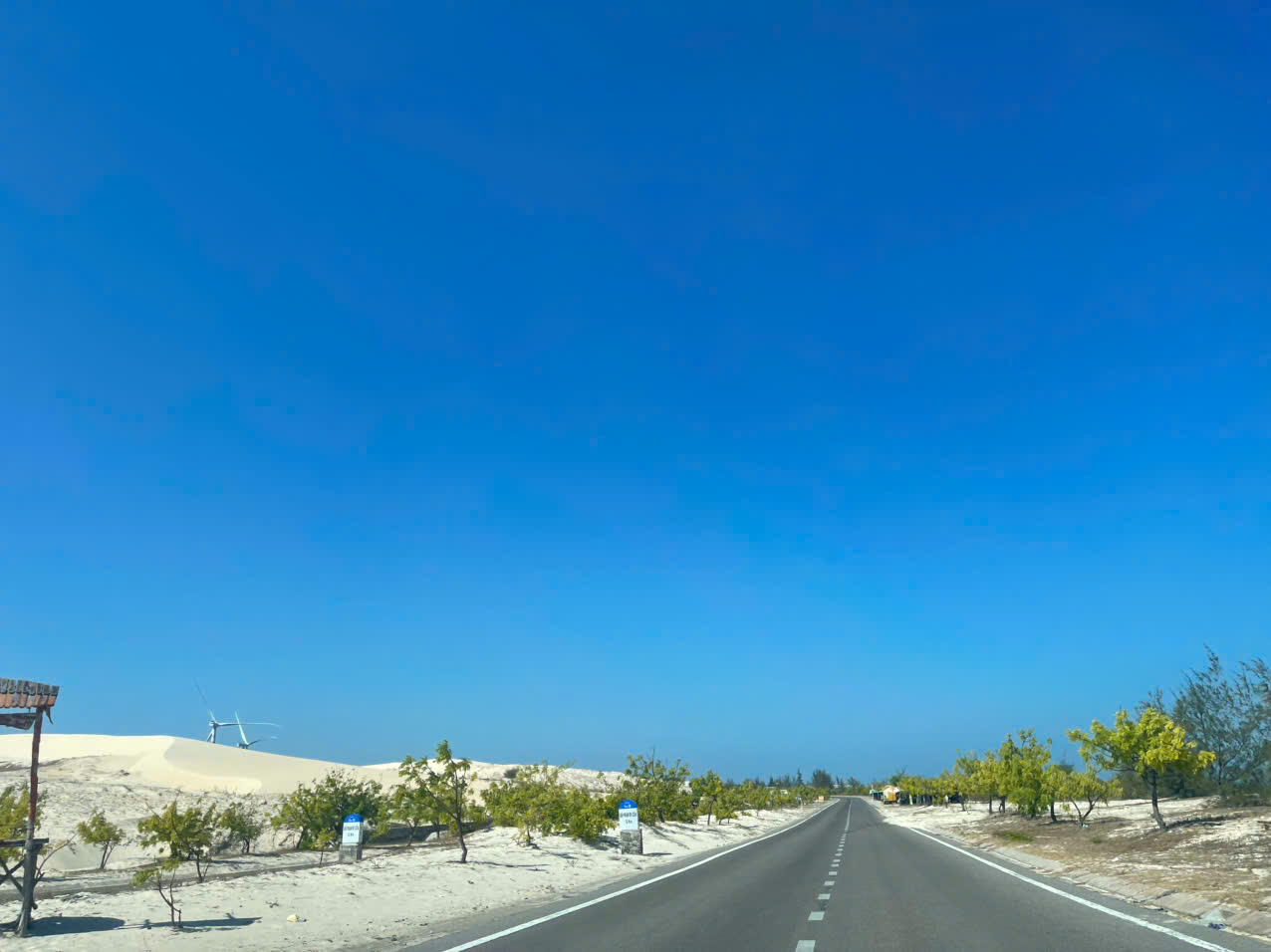 Taxi điện từ resort Vĩnh Hy đi Đà Lạt