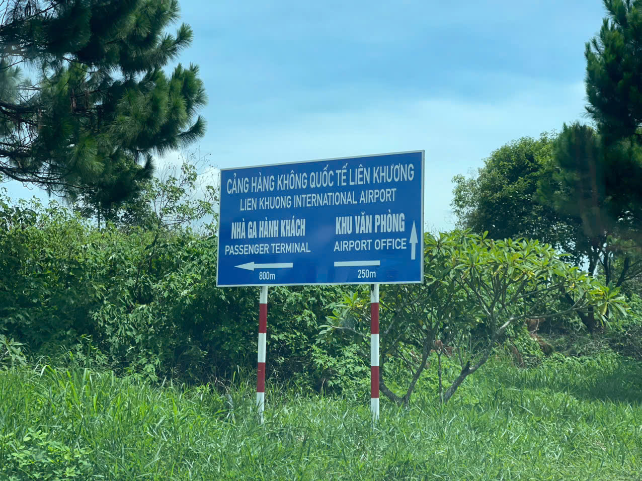 Taxi điện Vĩnh Hy đi Đà Lạt bao nhiêu tiền