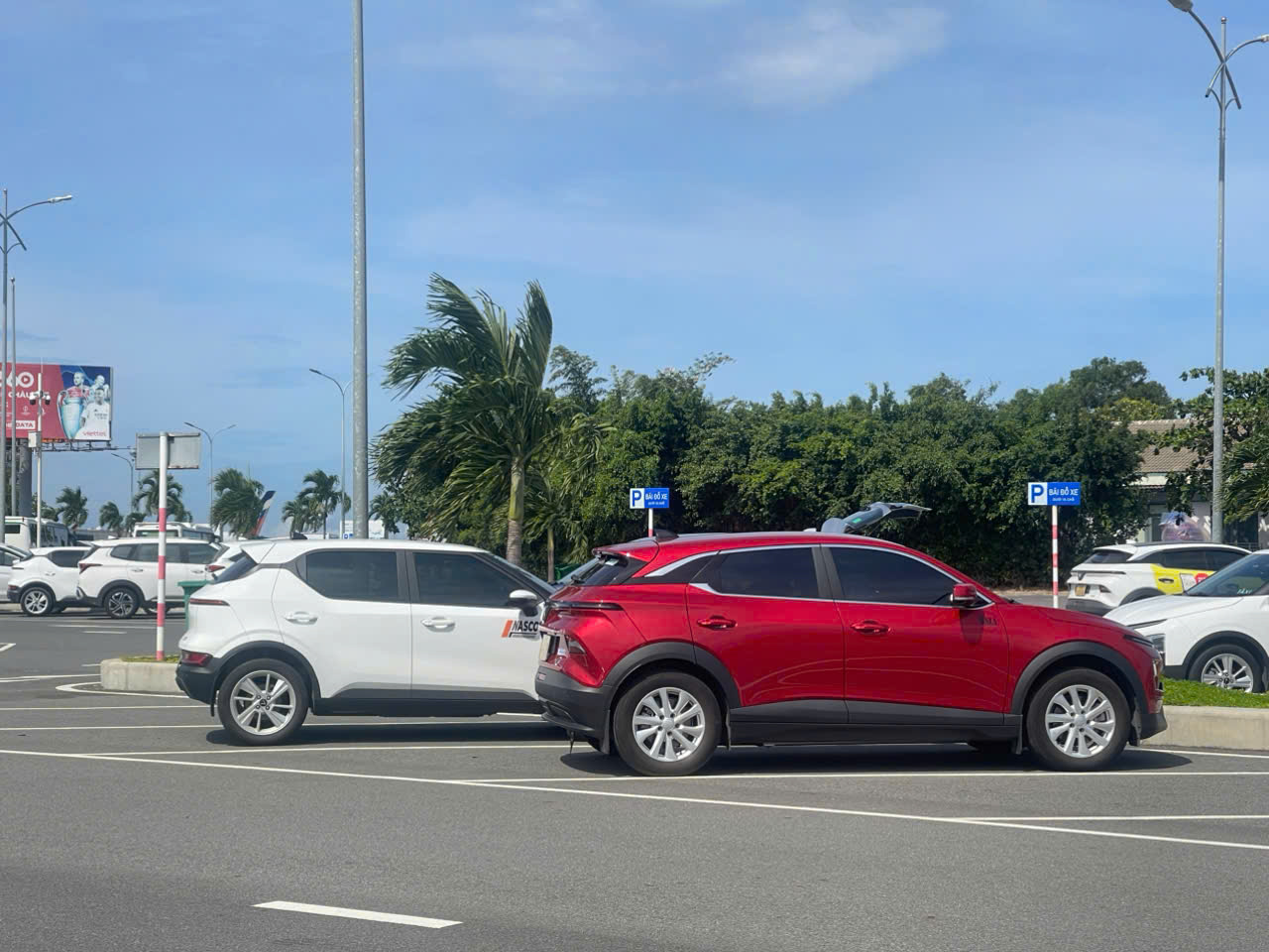 Taxi điện Vĩnh Hy đi Nha Trang 24/24