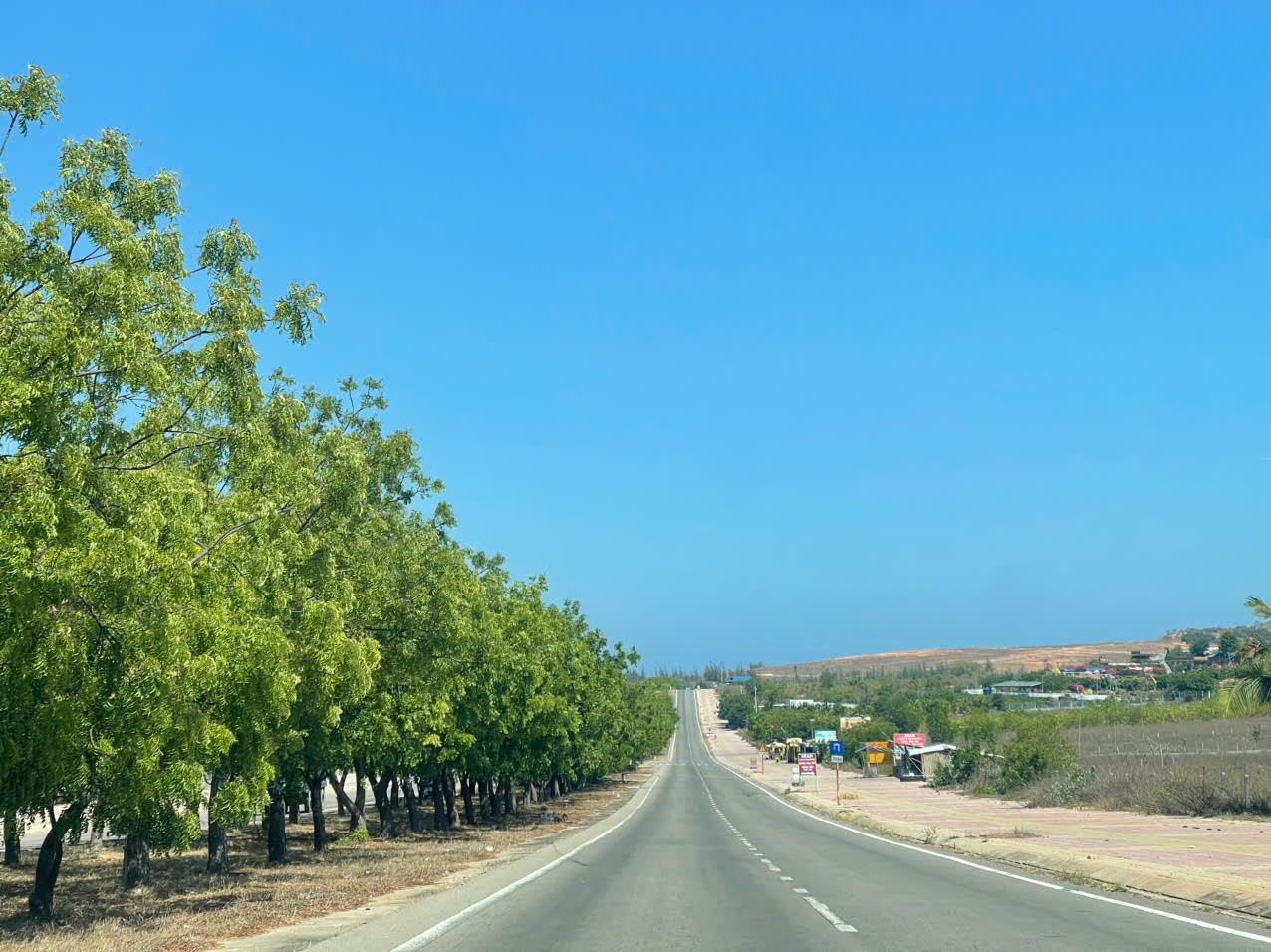 Taxi điện Ninh Phước