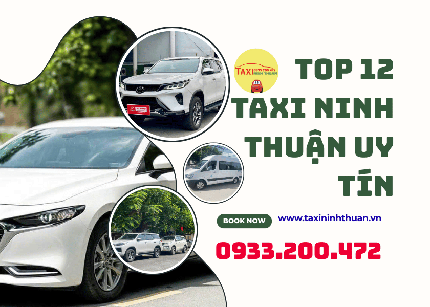 Top 12 Taxi Ninh Thuận uy tín