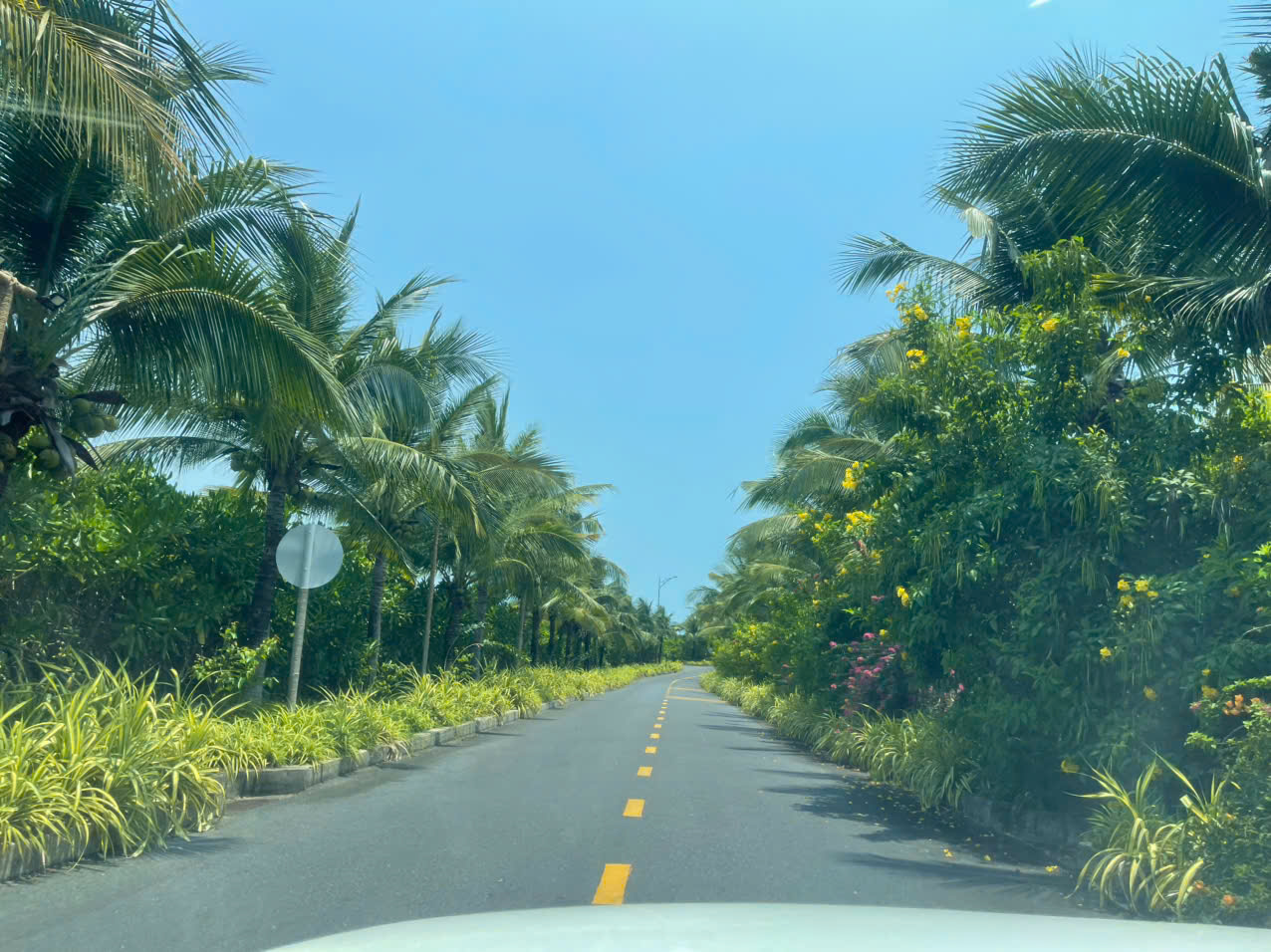 Taxi điện Phan Rang đi Vĩnh Hy