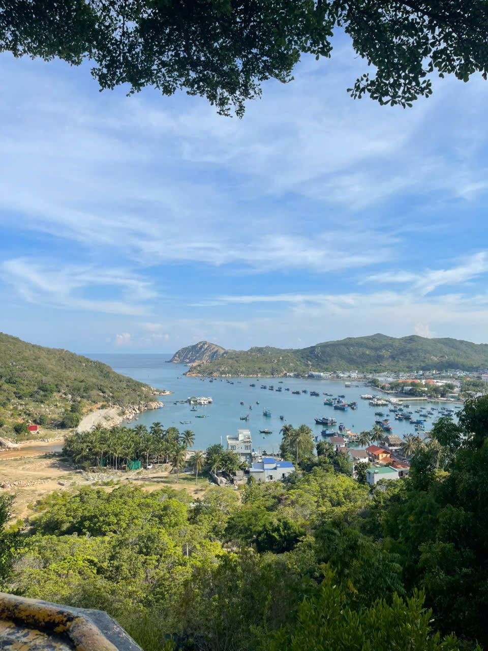 Xe 29 chỗ Vĩnh Hy Nha Trang