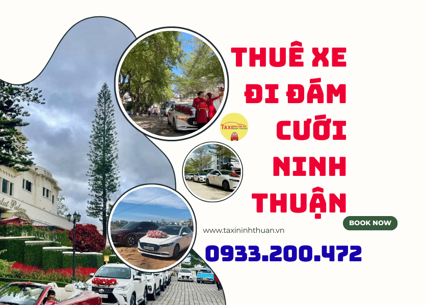Thuê xe đi đám cưới ninh thuận