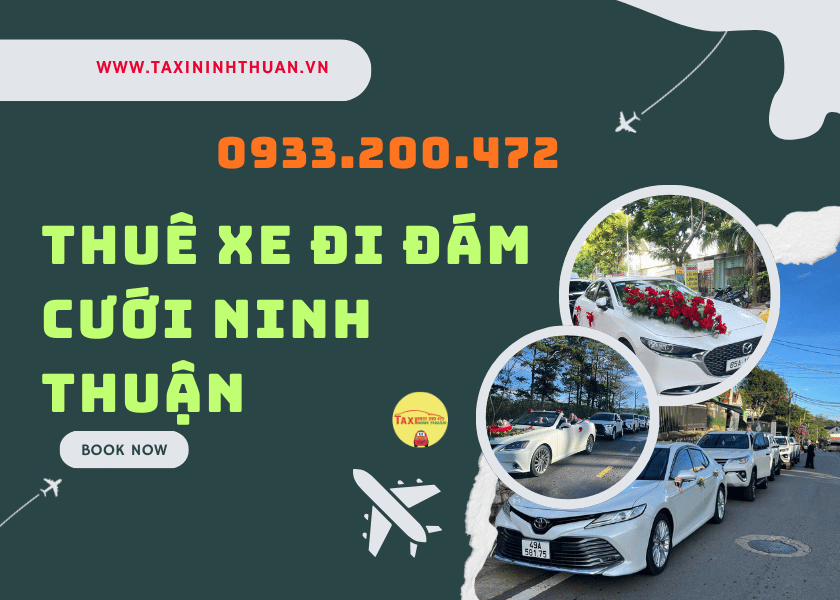 Thuê xe đi đám cưới ninh thuận